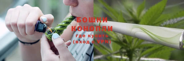 трава Беломорск
